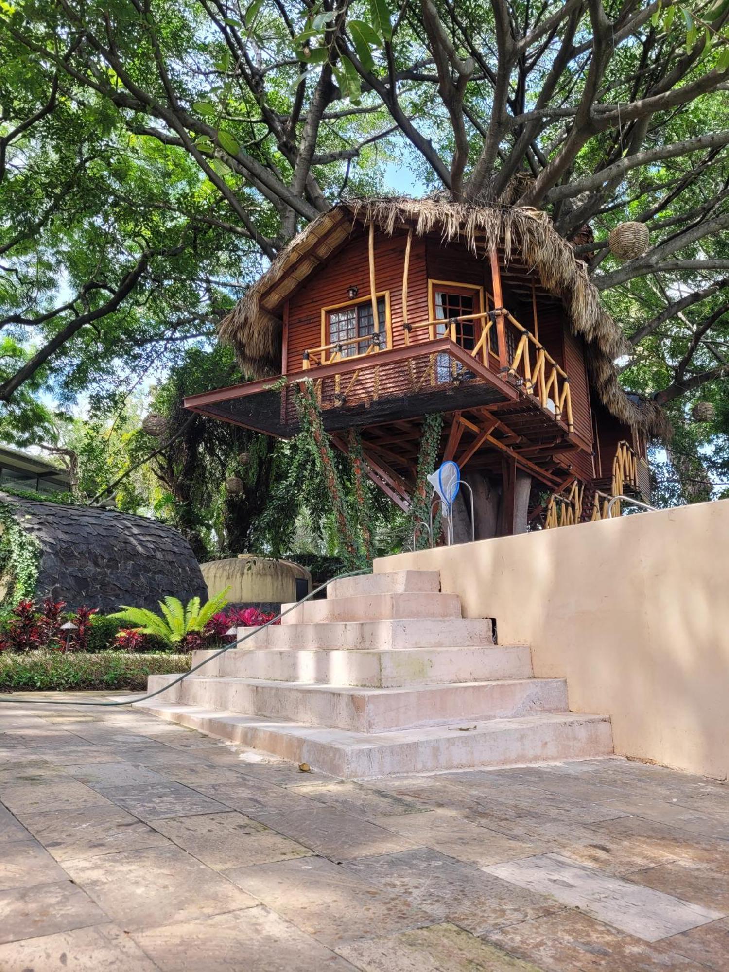 San Luis Soyatlán Nido Ecoluxury - Villa San Luis Boutique מראה חיצוני תמונה